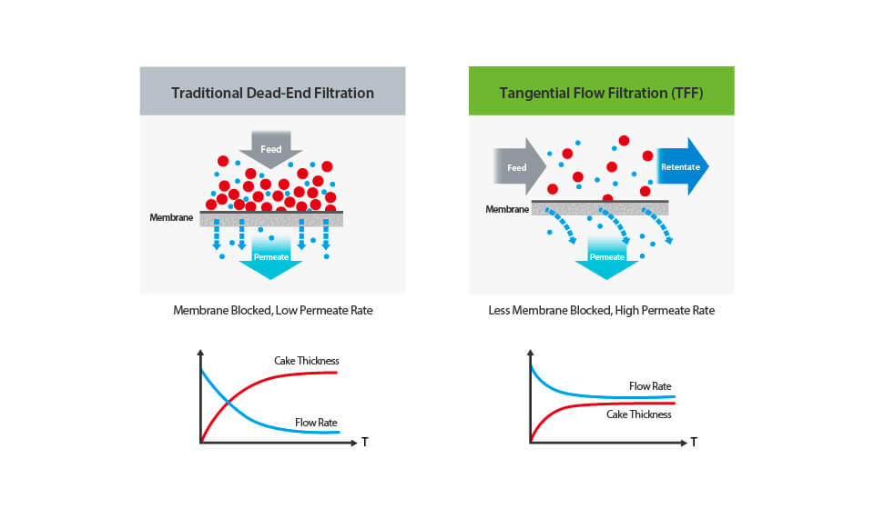 comparison of tangential flow filtration and traditional dead-end filtration