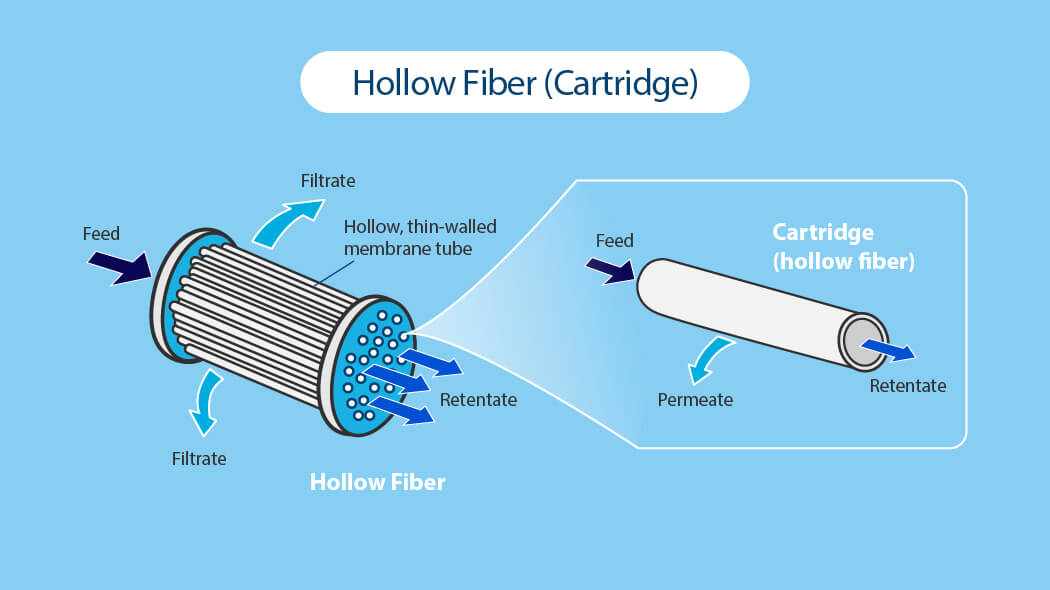 tangential flow filtration with hollow fiber membrane module