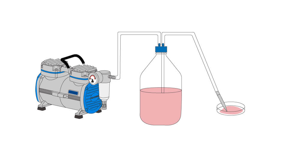 cell culture vacuum aspiration system with a vacuum pump and waste bottle