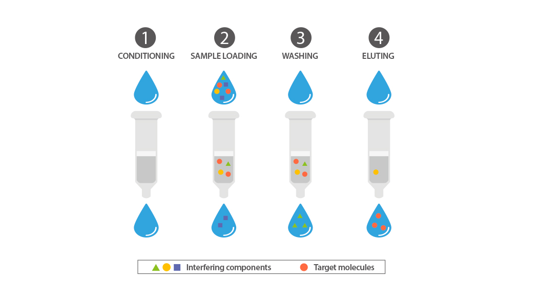 SPE extraction process