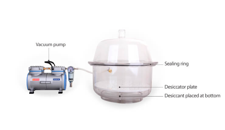 Vacuum drying system with vacuum pump and glass desiccator
