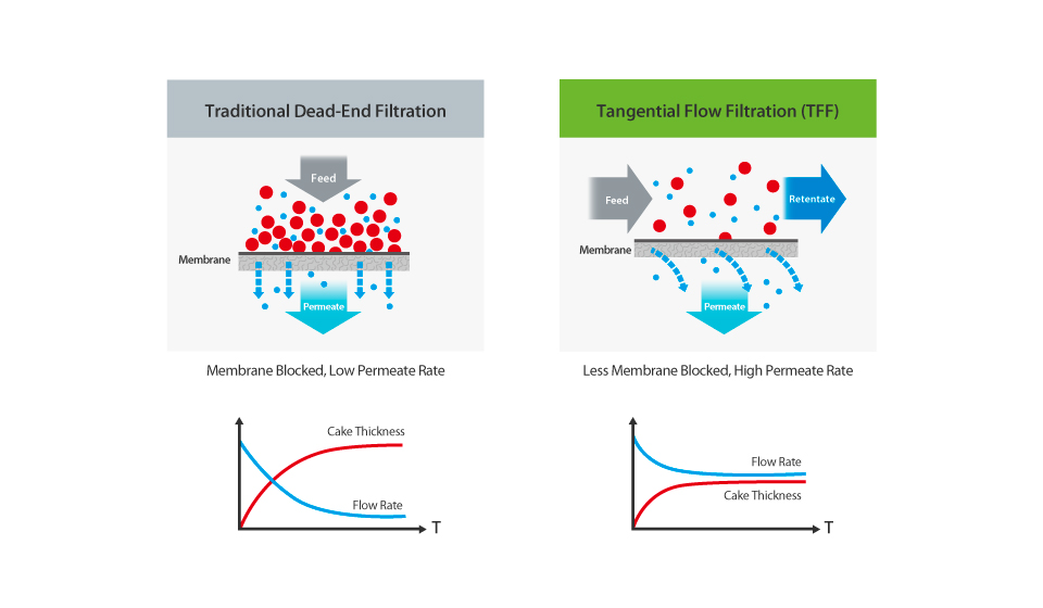exosomes isolation using tangential flow filtration