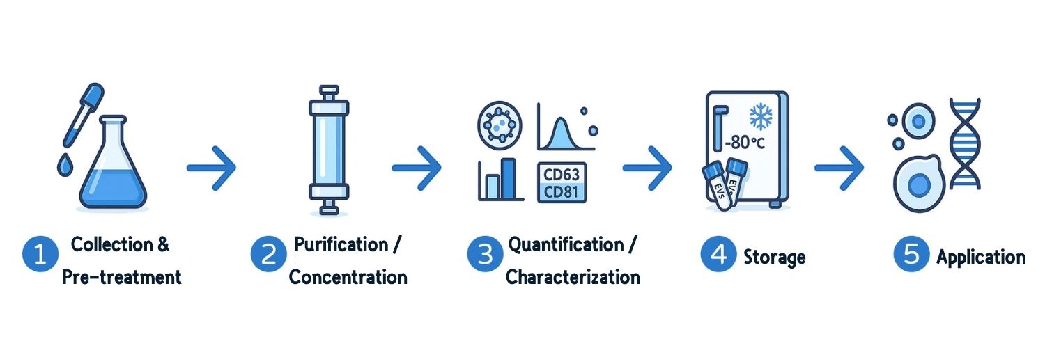 EVs Research Workflow